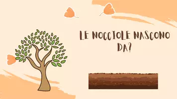 anteprima - Materiale interattivo - La nocciola - Pagina 1