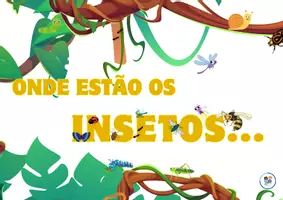 Vista previa - Tarjetas / Manipulativos - 02 - Onde estão os insetos com labirintos - Portada