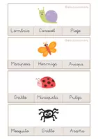 Vista previa - Tarjetas / Manipulativos - VOCABULARIO DE PRIMAVERA - página 2