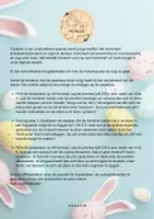 Voorbeeld - Coderen/beebot Pasen - Pagina 2