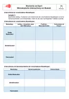 Vorschau - Arbeitsblätter - Mikroskopische Untersuchung verschiedener Muskeltypen - Seite 3