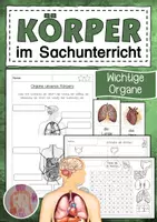 Vorschau - Arbeitsblätter - Mein Körper - Organe im Sachunterricht - Deckblatt