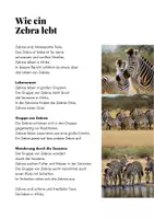 Vorschau - Arbeitsblätter - Magazin Leseheft Kurztexte Arbeitsheft Leichte Sprache Tiere - Seite 1