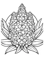 Vorschau - Arbeitsblätter - Ausmalbilder Hyazinthen Mandala Kunst Blumen Bilder zum Ausmalen - Seite 2