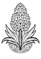 Vorschau - Arbeitsblätter - Ausmalbilder Hyazinthen Mandala Kunst Blumen Bilder zum Ausmalen - Seite 3