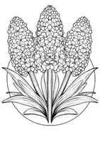 Vorschau - Arbeitsblätter - Ausmalbild Hyazinthe Mandala Kunst Blumen Ausmalbilder ausmalen - Seite 2