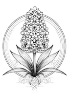 Vorschau - Arbeitsblätter - Ausmalbild Hyazinthe Mandala Kunst Blumen Ausmalbilder ausmalen - Seite 3