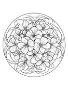Vorschau - Mal- und Bastelvorlagen - Ausmalbilder Bougainvillea Mandala Kunst Blumen Bilder zum Ausmalen - Seite 2