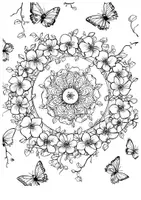 Vorschau - Mal- und Bastelvorlagen - Ausmalbilder Bougainvillea Mandala Kunst Blumen Bilder zum Ausmalen - Seite 3