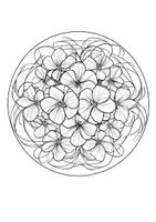 Vorschau - Mal- und Bastelvorlagen - Kunst Bougainvillea Ausmalbild Mandala Kunstidee Blumen Ausmalbilder - Seite 3