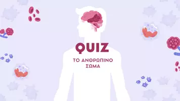 Προεπισκόπηση - Κουίζ - Quiz: Το ανθρώπινο σώμα - Εξώφυλλο