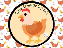Aperçu - Jeux - Le cycle de vie de la poule - Page de couverture