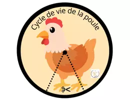 Aperçu - Jeux - Le cycle de vie de la poule - Page 1