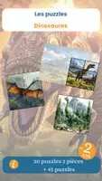 Aperçu - Jeux - Les puzzles des dinosaures - Page de couverture