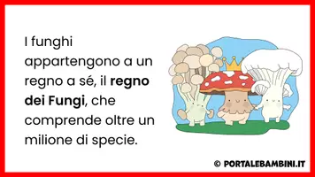 anteprima - Esercizi - I funghi - Unità didattica - Pagina 3