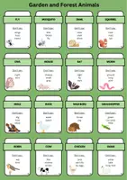 Vorschau - Spiele - Don't Say It - Game (garden and forest animals) - Seite 2