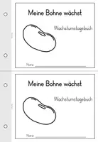 Vorschau - Arbeitsblätter - Bohne - Tagebuch zum Wachstum - Bohnentagebuch - Seite 1