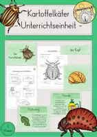 Vorschau - Stundenentwürfe - Kartoffelkäfer Kartoffel Unterrichtseinheit - Deckblatt