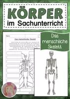 Vorschau - Arbeitsblätter - Skelett im Sachunterricht - Deckblatt