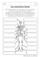 Vorschau - Arbeitsblätter - Skelett im Sachunterricht - Seite 1