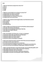 Vorschau - Arbeitsblätter - Ton, Klang, Geräusch - Seite 2
