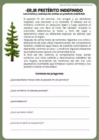 Vista previa - Hojas de trabajo - PRETÉRITO INDEFINIDO -ER E -IR VERBOS REGULARES LECTURA PRETERITE TENSE READING SHEET (SPANISH) - página 1