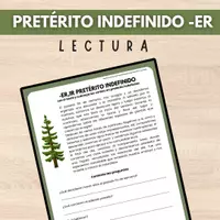 Vista previa - Hojas de trabajo - PRETÉRITO INDEFINIDO -ER E -IR VERBOS REGULARES LECTURA PRETERITE TENSE READING SHEET (SPANISH) - Portada