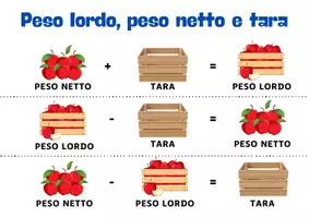 anteprima - Materiale di supporto/inclusione - Peso lordo Peso netto e tara - Pagina 1