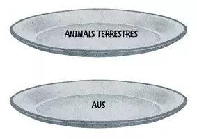 Vista previa - Tarjetas / Manipulativos - CAMPS SEMÀNTICS PLATS - página 1