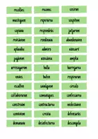 Vista previa - Tarjetas / Manipulativos - CLASSIFICA ELS VERBS - página 3