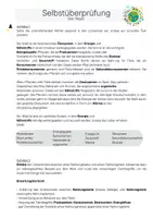 Vorschau - Mal- und Bastelvorlagen - Der Wald - Klasse 7/8 - Materialpaket - Seite 2