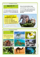 Vorschau - Arbeitsblätter - Biologische Vielfalt - Warum ist sie wichtig? Wieso ist sie gefährdet? Was kann man tun? - Seite 1