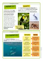 Vorschau - Arbeitsblätter - Biologische Vielfalt - Warum ist sie wichtig? Wieso ist sie gefährdet? Was kann man tun? - Seite 3