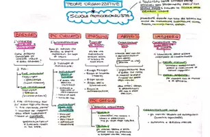 anteprima - Mappe concettuali - Psicologia del lavoro e delle organizzazioni - Pagina 1