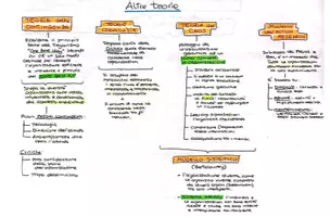 anteprima - Mappe concettuali - Psicologia del lavoro e delle organizzazioni - Pagina 2