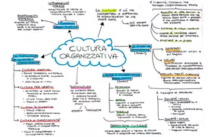 anteprima - Mappe concettuali - Psicologia del lavoro e delle organizzazioni - Pagina 3
