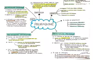 anteprima - Mappe concettuali - Sanità pubblica e medicina di comunità - Pagina 3