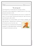 anteprima - Schede informative - Red squirrel / autumn reading comprehension (English) / Scoiattolo rosso / comprensione della lettura autunnale (inglese) - Pagina 1