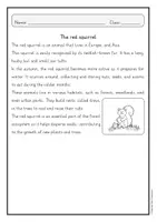 anteprima - Schede informative - Red squirrel / autumn reading comprehension (English) / Scoiattolo rosso / comprensione della lettura autunnale (inglese) - Pagina 3