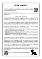 Vorschau - Arbeitsblätter - Lernen am Modell nach Bandura - Arbeitsblätter mit Lösungen - Seite 2