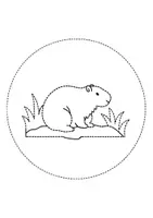 Vorschau - Mal- und Bastelvorlagen - runde Prickelbilder / Fensterbilder Thema Capybaras - Grundschule - Bastelvorlagen - Seite 2