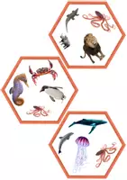 Aperçu - Jeux - Jeu Twin Trouble Wild Animals Set 1 en ANGLAIS - Game Twin Trouble Wild Animals Set 1 - Page 2