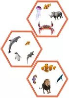 Aperçu - Jeux - Jeu Twin Trouble Wild Animals Set 1 en ANGLAIS - Game Twin Trouble Wild Animals Set 1 - Page 3