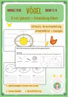 Vorschau - Arbeitsblätter - Vögel_Versuch_EI_Arbeitsblätter - Deckblatt