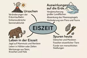 Vorschau - Arbeitsblätter - AB mit Fragen zum Thema "Eiszeit" + Lösungsblatt + Mindmap + Infografik - Seite 3
