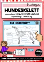 Vorschau - Bildkarten - Legeübung / Klettübung Hundeskelett - Deckblatt