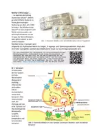 Vorschau - Arbeitsblätter - Mother's little helper: zur Wirkung von Diazepam an Synapsen - Deckblatt