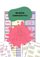 Vorschau - Arbeitsblätter - Die Mitose - Zuordnung der Mitosephasen - Deckblatt