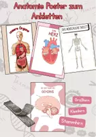 Vorschau - Poster - Anatomie Poster zum Ankletten (Organe, Gehirn, Skelett, Herz) - Deckblatt