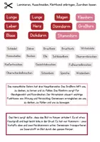 Vorschau - Poster - Anatomie Poster zum Ankletten (Organe, Gehirn, Skelett, Herz) - Seite 2